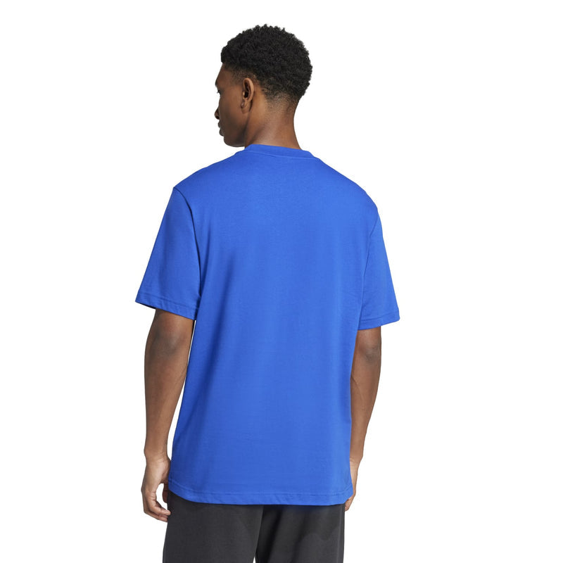 Men's Team Royal Blue T-shirt back view, plain crew neckline