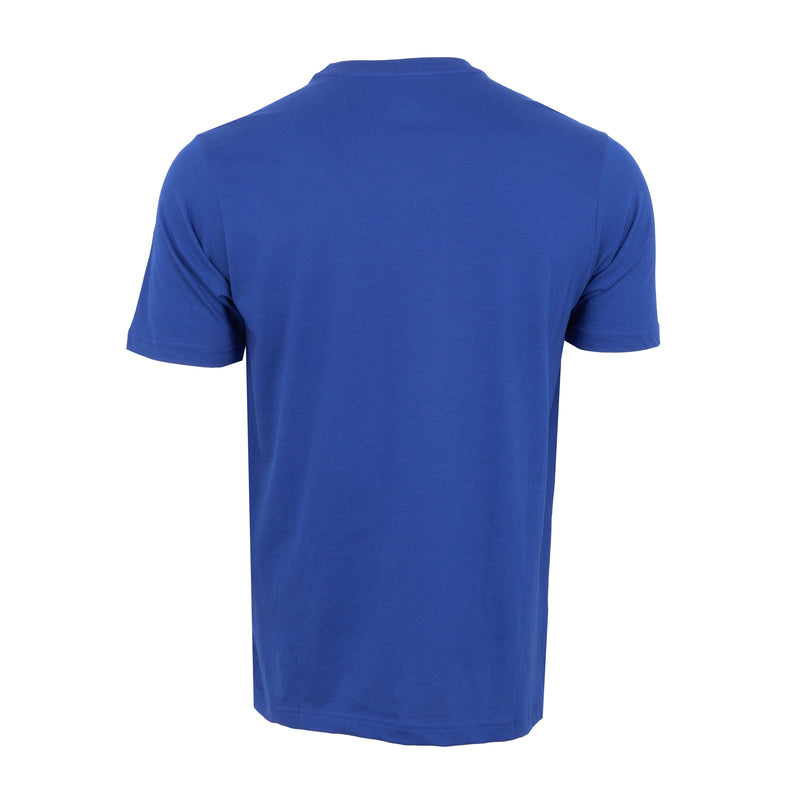 Men's royal blue crew-neck T-shirt, short sleeves, back view