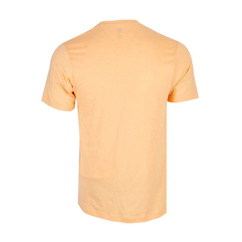 Men's crew neck t-shirt in peach fuzz, back view, short sleeves
