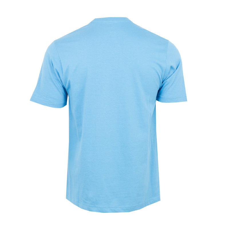 Men's crew neck T-shirt, light blue, short sleeves, back view.