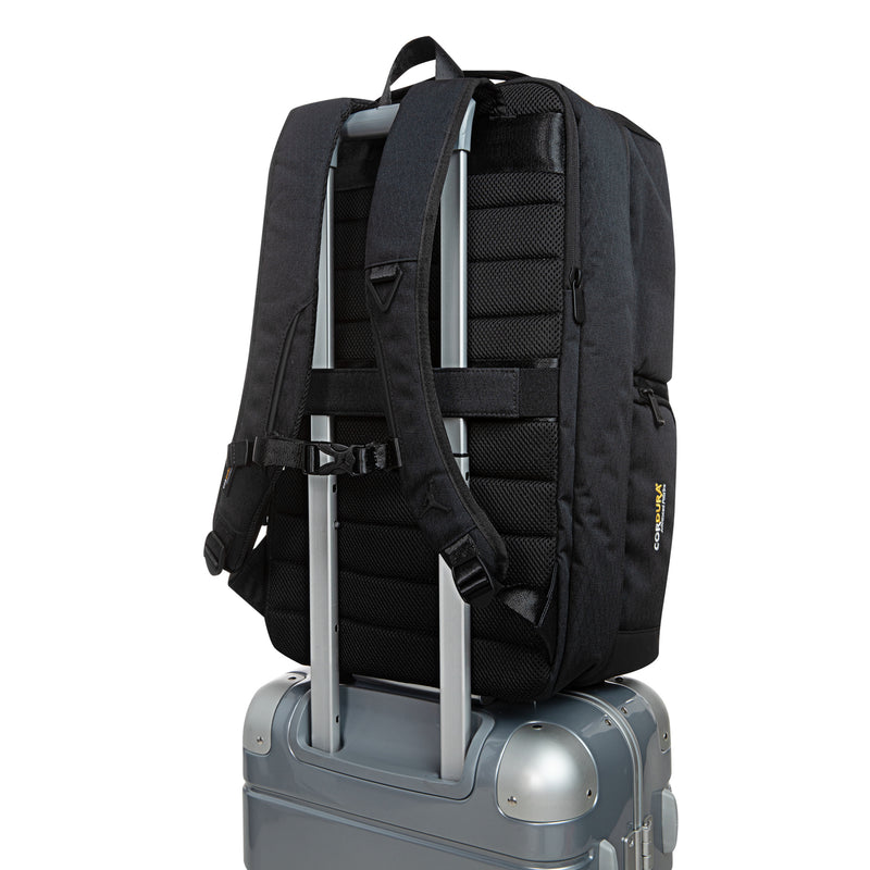 Black backpack back view with padded support, adjustable straps, and top handle