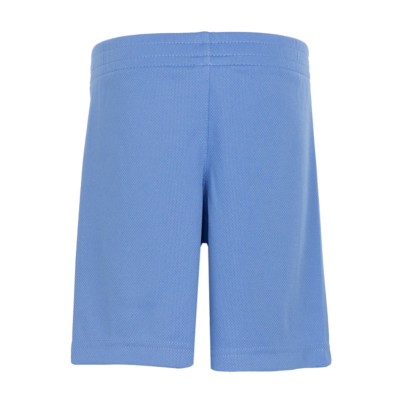 Toddler blue shorts with elastic waist and small Nike logo