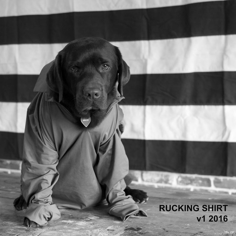 A black dog wearing a Men's Rucking Shirt - Merino Wool sits in front of a striped flag. Text: "RUCKING SHIRT v1 2016.