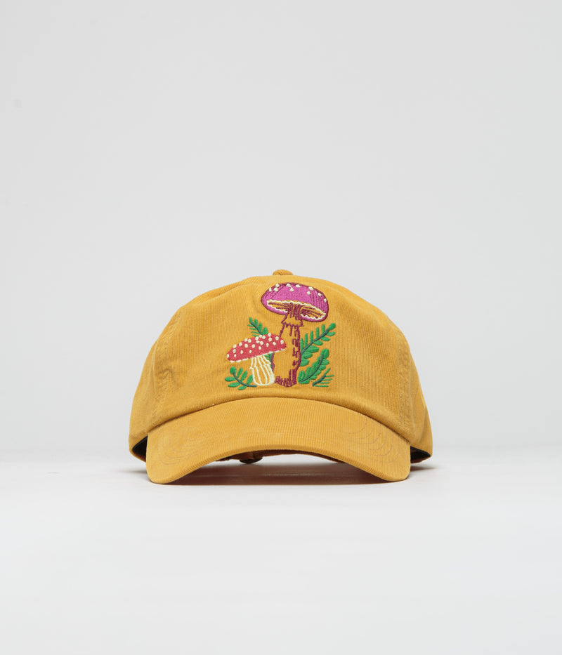 Mollusk Mushroom Garden Cap in Dandelion