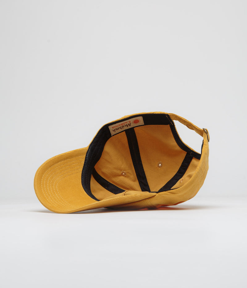 Mollusk Mushroom Garden Cap in Dandelion
