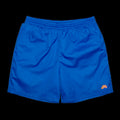 Nike SB Novelty Chino Short