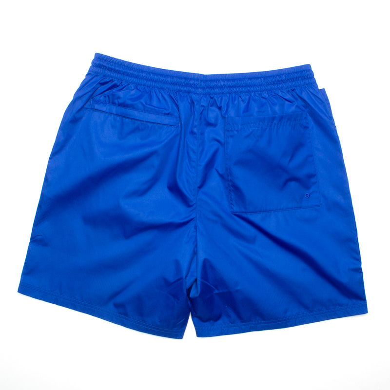 Nike SB Novelty Chino Short