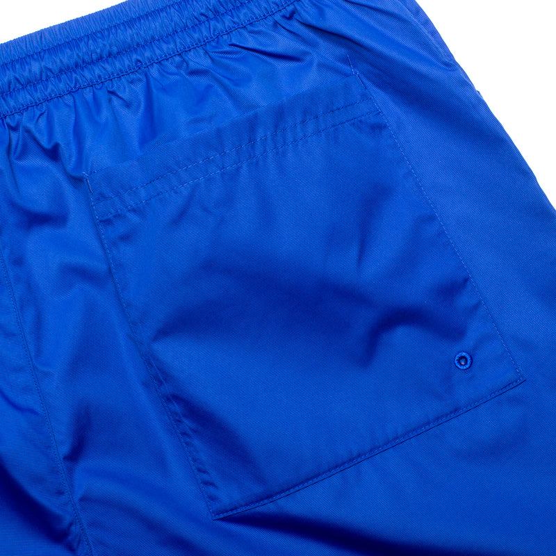 Nike SB Novelty Chino Short
