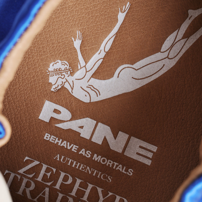 Pane Zephyr Training Men’s Shoes-Manu Bay