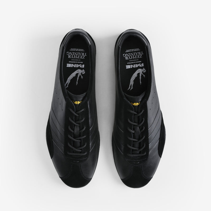 Pane Zephyr Training Men’s Shoes – Opaque