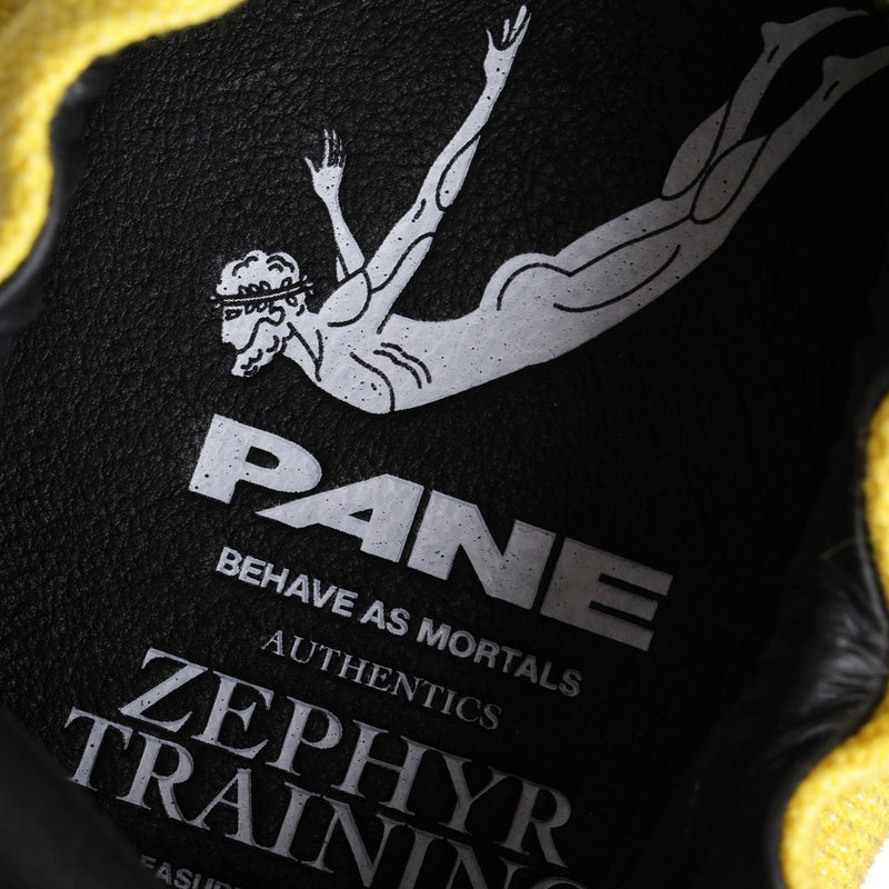 Pane Zephyr Training Pouching Men’s Shoes – Code Retro