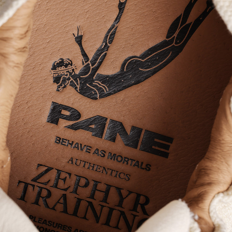 Pane Zephyr Training Pouching Men’s Shoes – Hologram Fade