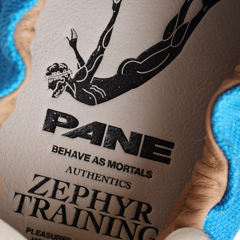 Pane Zephyr Training Pouching Men’s Shoes – Time Traveler