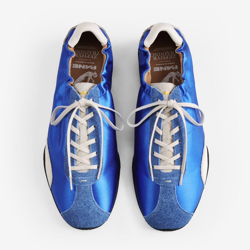 Pane Zephyr Training Men’s Shoes-Manu Bay