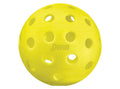 Penn Outdoor Pickleball