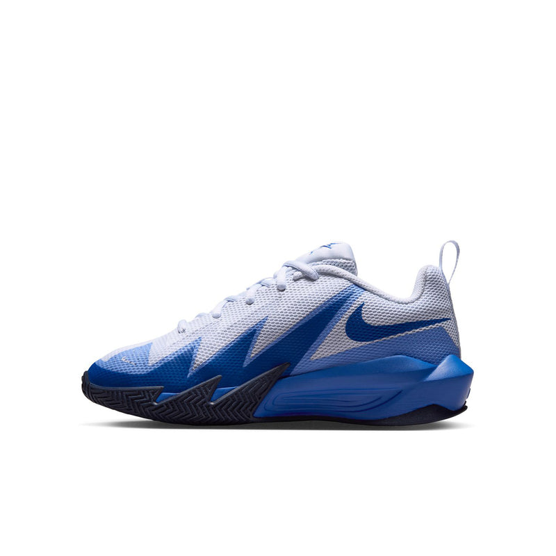 Youth low-top basketball sneaker in light gray and blue with Nike Swoosh and zigzag panels.