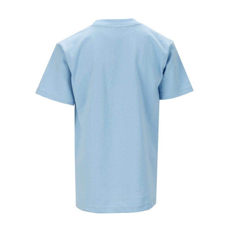 Youth sky blue crew-neck T-shirt, back view, short sleeves, solid color