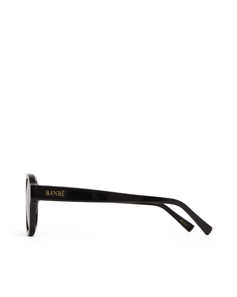 THE DEL RAY - BLACK-BROWN-SUNGLASSES-BANBE-BILLINI USA