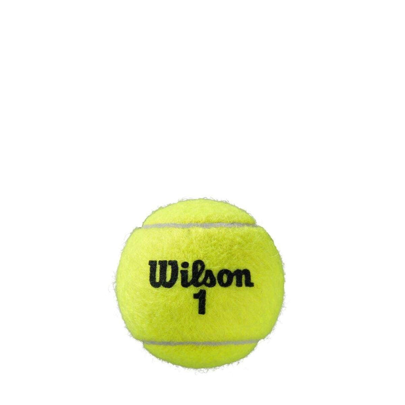 Wilson Roland Garros All Court 4 Ball Tennis Can - Tennis Ball - Wilson - ATR Sports